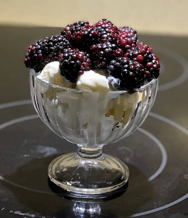 Review: Lello Musso Pola Ice Cream Machine